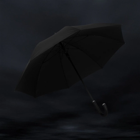 Parasol automatyczny 25
