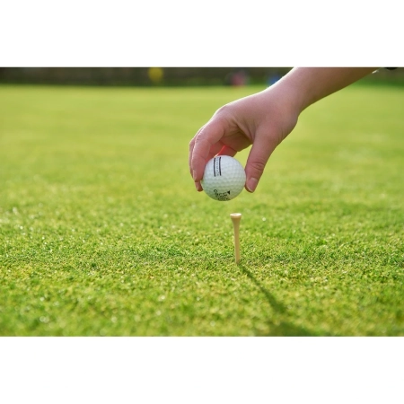 Zestaw drewnianych akcesoriów golfowych | VA-VA881-16